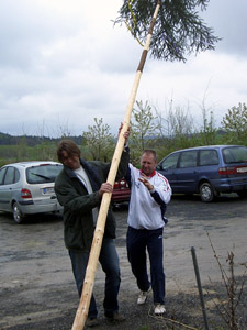 Fotos vom Maibaum aufstellen